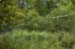 _Spiderweb070823